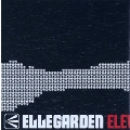 ELEVEN FIRE CRACKERS