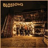 Blossoms (Limited Edition)