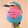 世界の美しい鳥