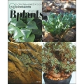ビザールプランツ 冬型 珍奇植物最新情報 - ケープバルブからハオルチア、コノフィツムまで