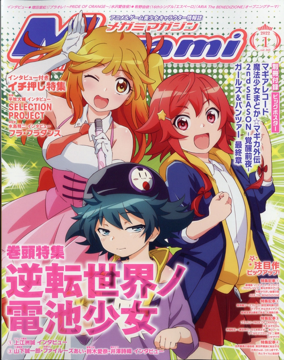 Megami MAGAZINE (メガミマガジン) 2022年 01月号 [雑誌]