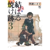 結ばる焼け跡 3 ニチブンコミックス