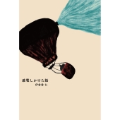 感電しかけた話