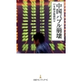 中国バブル崩壊 日経プレミアシリーズ 293