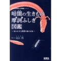 暗闇の生きもの摩訶ふしぎ図鑑 知られざる洞窟生物の世界 「生きもの摩訶ふしぎ図鑑」シリーズ