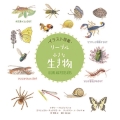 リーブル「小さな生き物」 イラスト図鑑