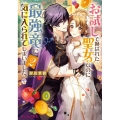 お試しで喚ばれた聖女なのに最強竜に気に入られてしまいました。 ビーズログ文庫 か 9-4