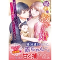 秘密の授かり婚 身を引こうとしたけど、エリート御曹司が逃がしてくれません マーマレード文庫 ヒ 1-3