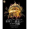 世界で一番美しいクラゲ図鑑 海中を優美に浮遊する神秘的な生態