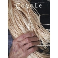 Coyote No.76