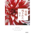 寂聴残された日々 朝日文庫 せ 3-5