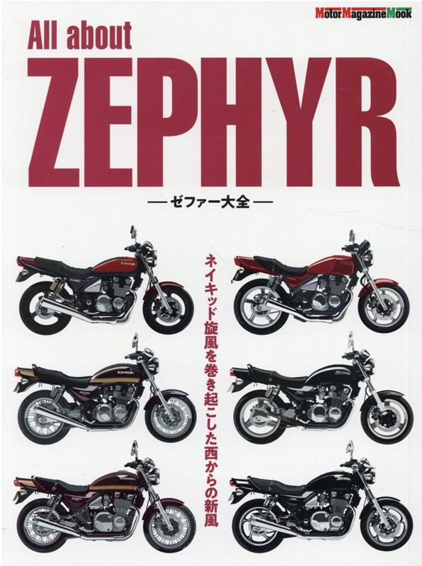 VINTAGE Jeff Ho Zephyr ゼファー 当時物 ビンテージT パンチホール