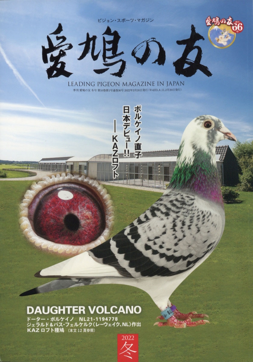 現代銘鳩写真大観No.4  愛鳩の友社 現代銘鳩写真大観No.4 愛鳩の友社 - メルカリ