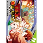 お気の毒ですが、冒険の書は魔王のモノになりました。 11 ニチブンコミックス