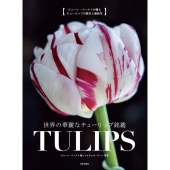 世界の華麗なチューリップ銘鑑TULIPS
