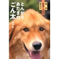 とんがりあたまのごん太 福島余命1カ月の被災犬
