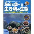 海辺で調べる生き物の生態 さまざまな環境と生き物のくらし 子供の科学・サイエンスブックス