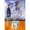 約束の月 下 風烈廻り与力・青柳剣一郎 59 祥伝社文庫 こ 17-68