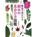 散歩で見かける樹木の見分け方図鑑