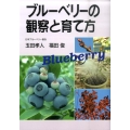 ブルーベリーの観察と育て方