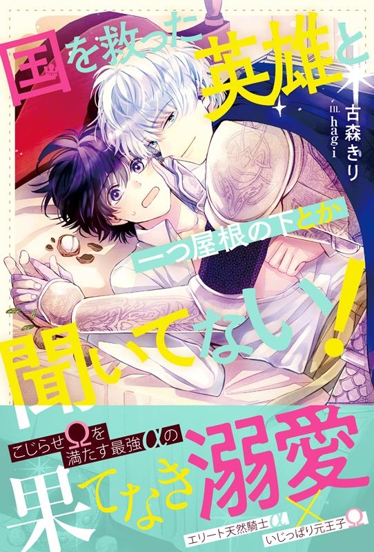 国を救った英雄と一つ屋根の下とか聞いてない! アンダルシュノベルズ 国を救った英雄と一つ屋根の下とか聞いてない! アンダルシュノベルズ