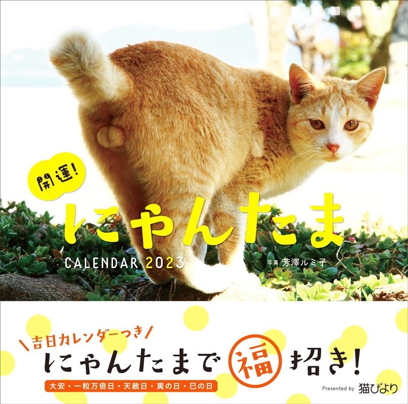 芳澤 ルミ子/開運!にゃんたまカレンダー