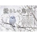 愛らしい鳥たちカレンダー2023