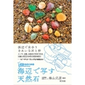海辺で写す天然石 関西地学の旅 13