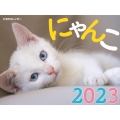 JTBのカレンダー にゃんこ 2023 壁掛け 猫