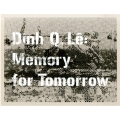 ディン・Q・レ:明日への記憶