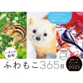 ふわもこ365日 いやしの動物日めくりカレンダー 2023 翔泳社カレンダー