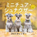 2023年カレンダー ミニチュア・シュナウザー
