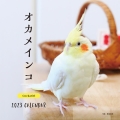 2023年カレンダー オカメインコ