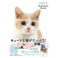 Schedule Book CAT 2023