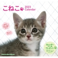 こねこカレンダー 2023