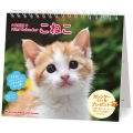 ミニカレンダーこねこ 2023