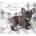 2023年カレンダー かわいいフレンチ・ブルドッグ