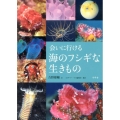 会いに行ける海のフシギな生きもの
