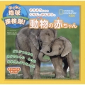 わくわく地球探検隊!動物の赤ちゃん ナショジオキッズ