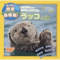 わくわく地球探検隊!ラッコの世界 ナショジオキッズ