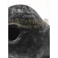 砂澤ビッキ作品集 終わりのない迷宮
