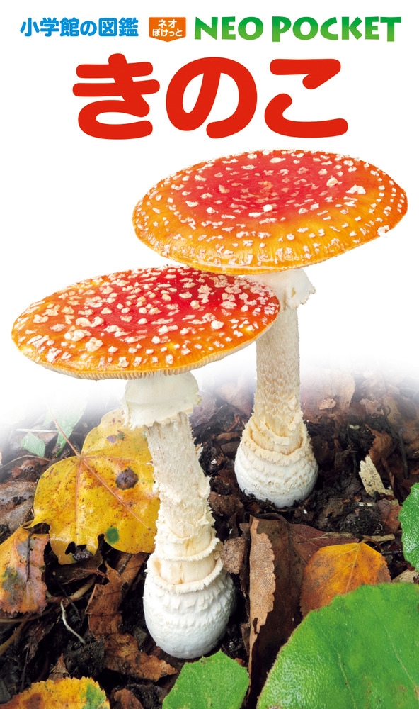 きのこ 小学館の図鑑NEO POCKET 13 きのこ 小学館の図鑑NEO POCKET 13