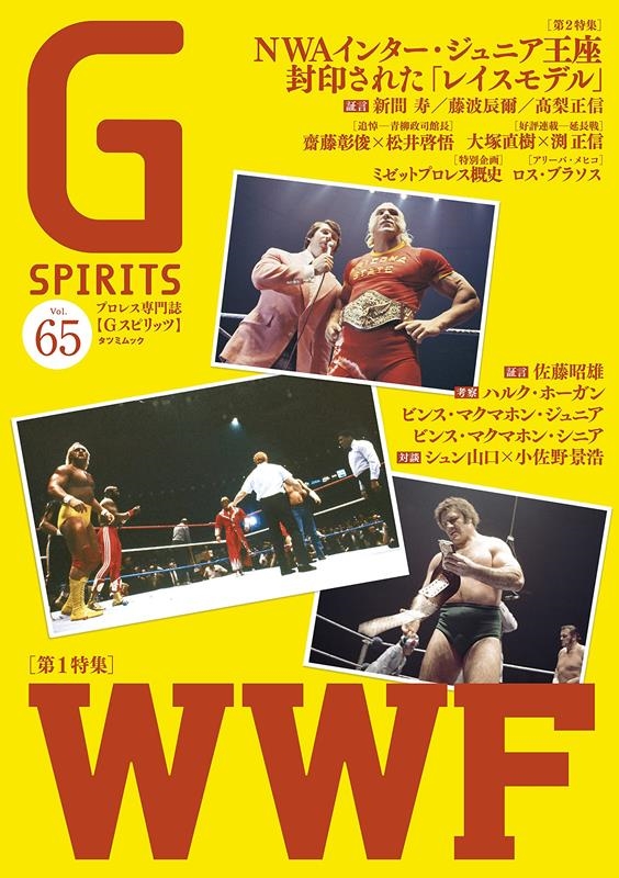 Gスピリッツ Vol.65 プロレス専門誌 TATSUMI MOOK