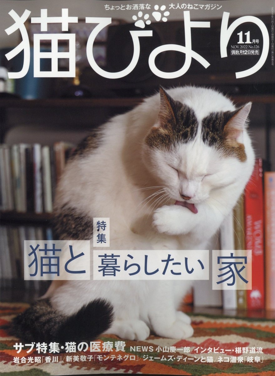 猫びより 22年 11月号 雑誌