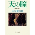 天の瞳 成長編I