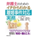 弁護士のためのイチからわかる離婚事件対応実務