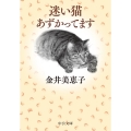 迷い猫あずかってます 中公文庫 か 15-4