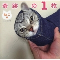 奇跡の1枚 ねこ編