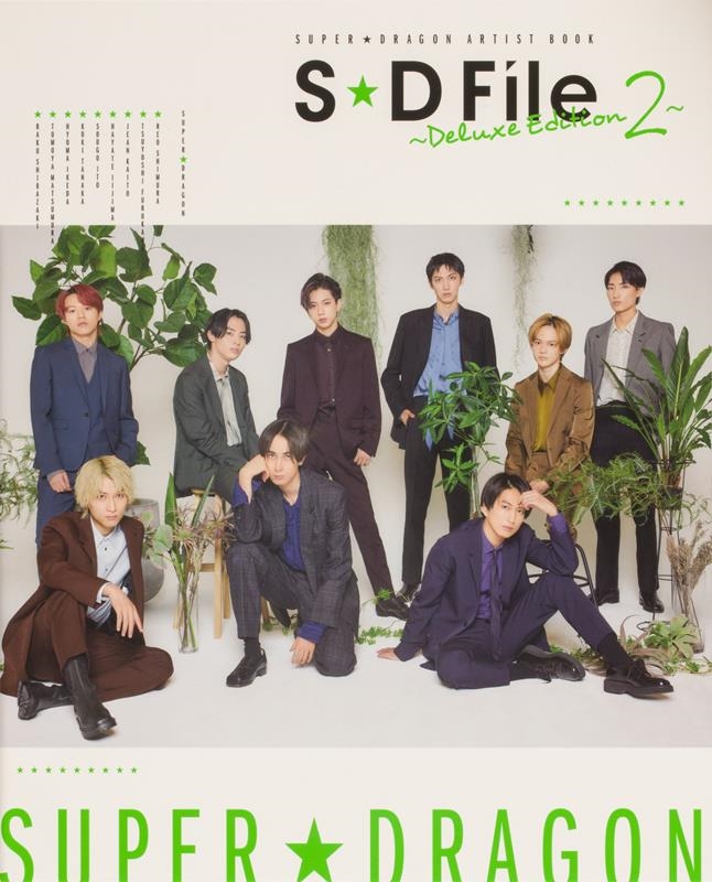 SD FileDeluxe Edition 2 SUPERDRAGON ARTIST BOOK[9784047372658]