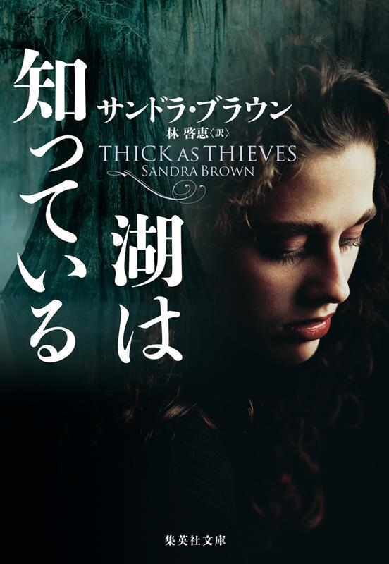 湖は知っている 集英社文庫 フ 18-35